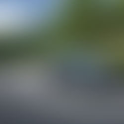 Tinting Your Car: A Smart Investment That Pays Off