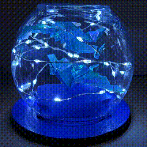 2021-02-28_18_11_11.gif