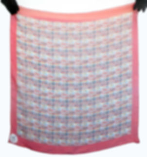 AH Paris Multicolor Scarf