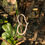 Thumbnail: Heart shape Hairpin