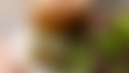 Herbivore's Dilemma: How to be a Vegetarian in a Meat-Eater's World