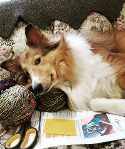 81280302_10157169363709005_3701629104634724352_n