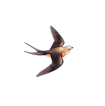 Untitled_Artwork.png