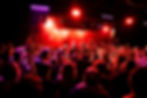 DSC03080.jpg
