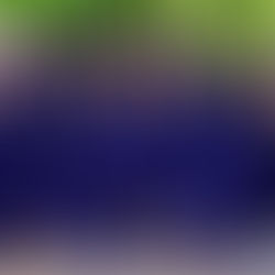 Chaviva's 2025 Graduation 