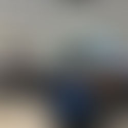 Sensing the Truth: IPBL 2025