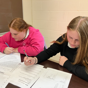 Meaningful Learning