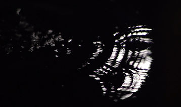 EB434A79-91D7-4692-B403-5DDA0EAA732D.jpeg