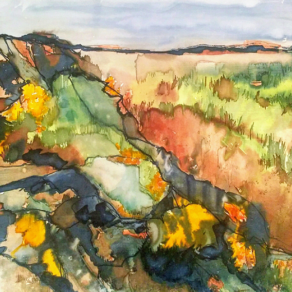 Acadian Coast 2
