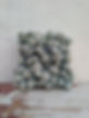 Lichen structure art