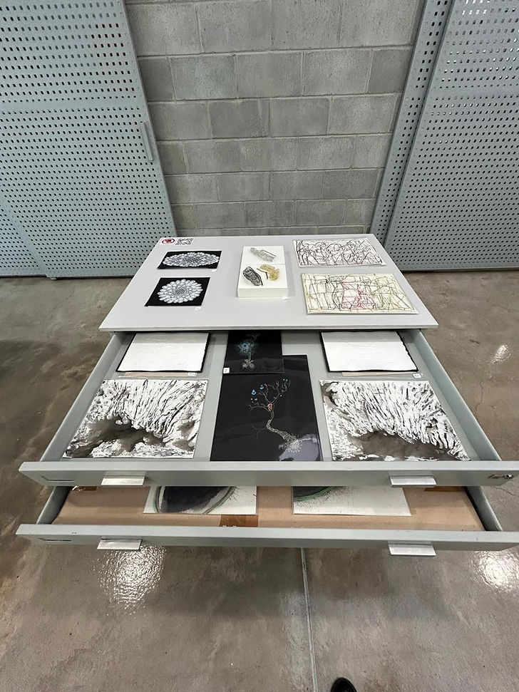 WhatsApp Image 2025-10-30 at 10.38.51.jpeg