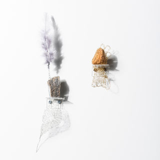 SAPO E SENTINELA II.jpg