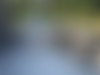 Designing Your Dream Custom Outdoor Kitchen in Northern Virginia