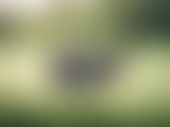 Master Your Swing with Robintrey Golf's Expert Tips