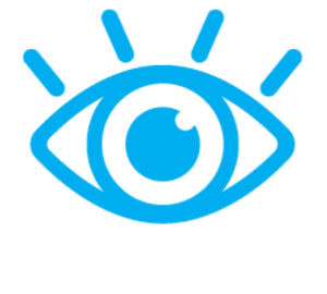 vision.png