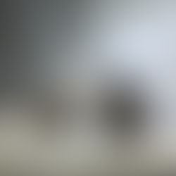 29 січня — День пам'яті Героїв Крут