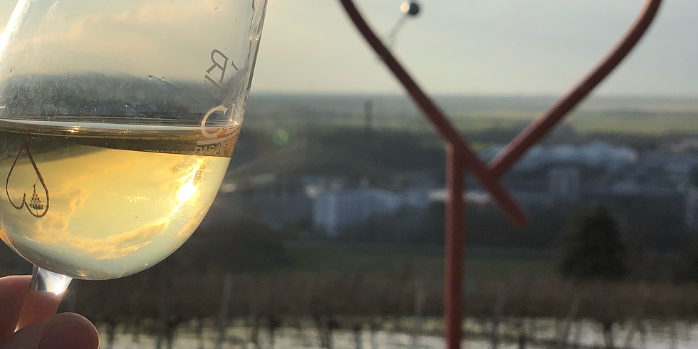 Alkoholfreie Wein-Degustation #3 | Weingut Leitz