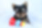 41729963_702895836775742_647343518167072768_n.jpg