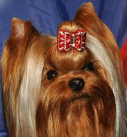 1-1012750_698086820224506_1564208140_n_edited