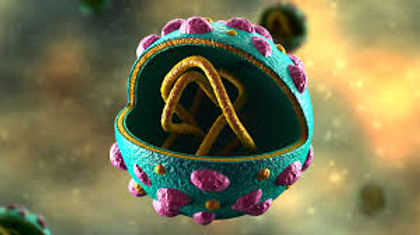 Hepatitis C