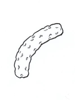 Ureaplazma parvum