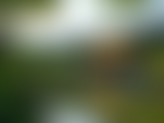 Top 10 Must-Visit Destinations Around the World