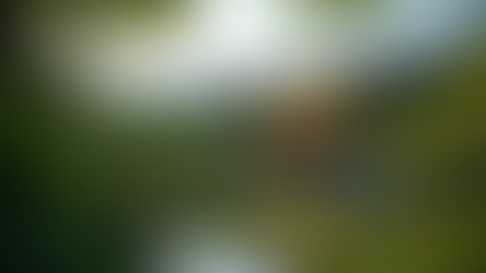 Top 10 Must-Visit Destinations Around the World