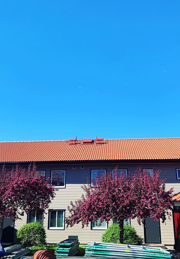 hus med tegeltak