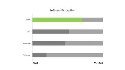 Diapositivo EN (3).png