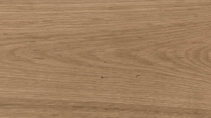 Thumbnail: Camel