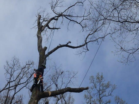 チーム全体としてのレベルアップ‼️☺️