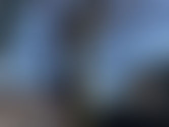 屋根に掛かる大枝のTC剪定‼️🌳☺️