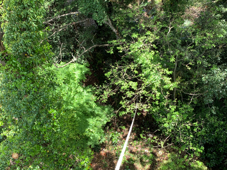 スピードライン‼️😊