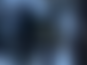 某施設内ヒマラヤスギのTC強剪定‼️😊