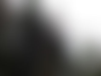 某樹林地内ケヤキのTC伐採業務‼️😊