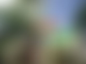 神奈川県横浜市磯子区の某施設にて‼️🌸TC強剪定業務‼️😊