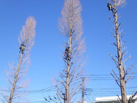 「安全最優先」という当たり前を、弊社は徹底して守り抜きます‼️😊