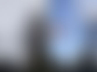 神奈川県横浜市にて‼️某施設のツリークライミング越境枝強剪定業務‼️🍂😊