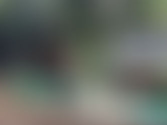 横浜市旭区にて‼️BAT1〜2セミナー開催‼️🌳😊