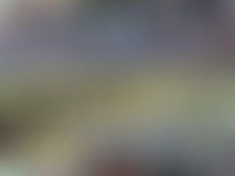 横浜市旭区こども自然公園 青少年野外活動センターにて‼️🏠BAT1〜2セミナー開催‼️🌳😊