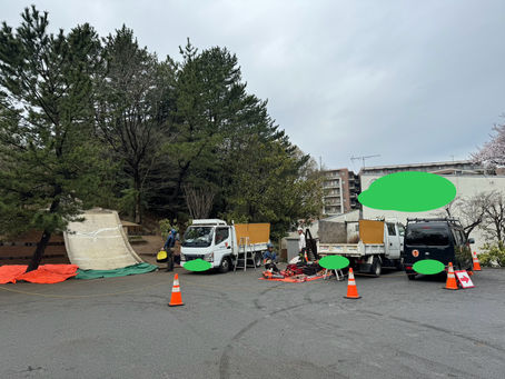 神奈川県相模原市の某施設にて‼️ツリークライミング剪定業務‼️🌲☺️