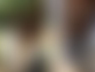 狭小地のTC伐採‼️☺️