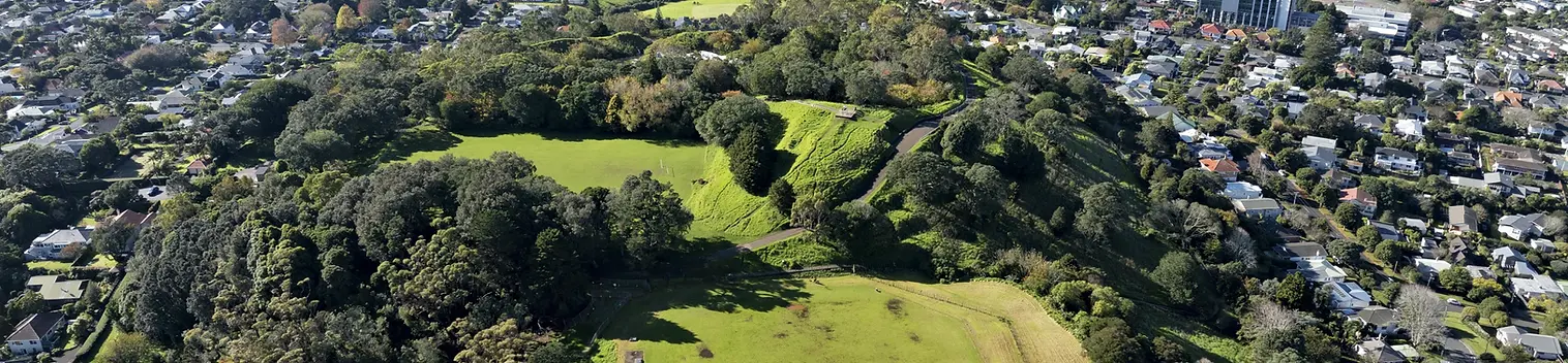 Mount Albert.webp