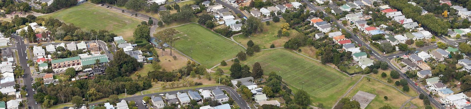 Grey Lynn.jpg