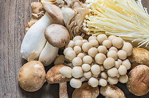 Untitled design.jpeg