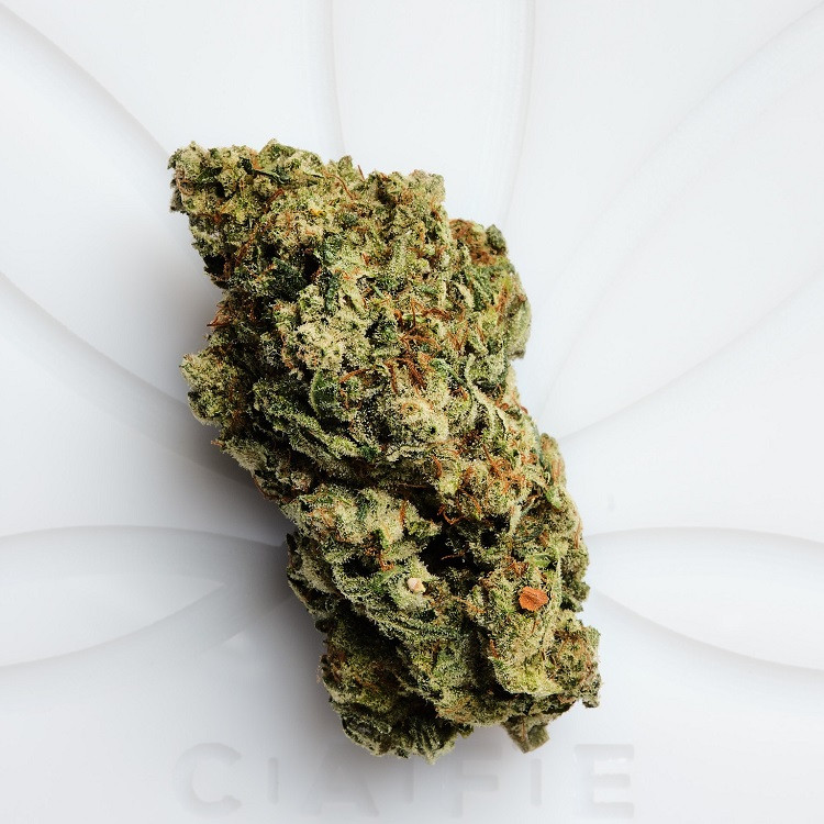 Pink Gorilla Strain