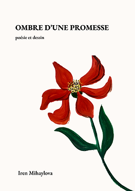 premiere.png