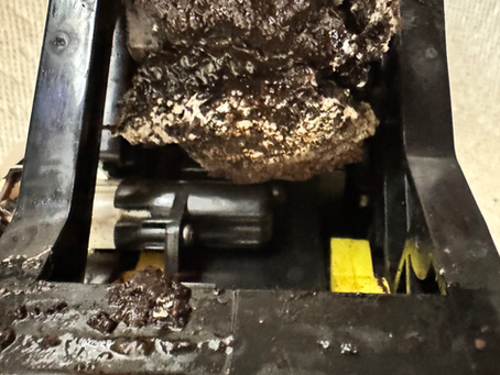 Mold in Your Coffee machine