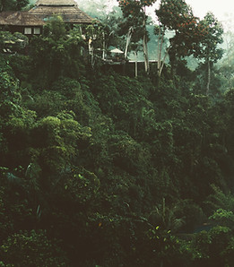 pierre-chatel-innocenti-Lk-nu_hX6ms-unsplash 2.png