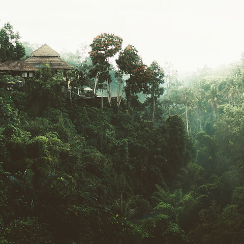 Forest Home